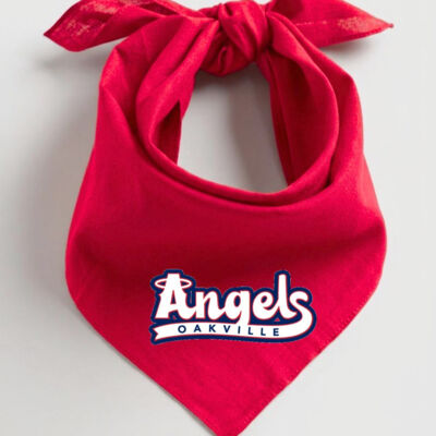 Cotton Bandana Thumbnail